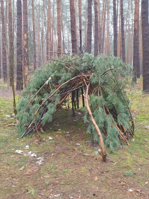 Waldtipi der Kinder