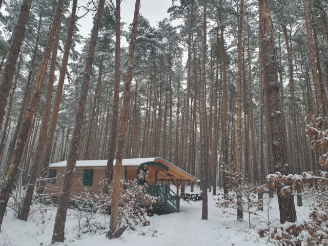 Bauwagen der Heidebären