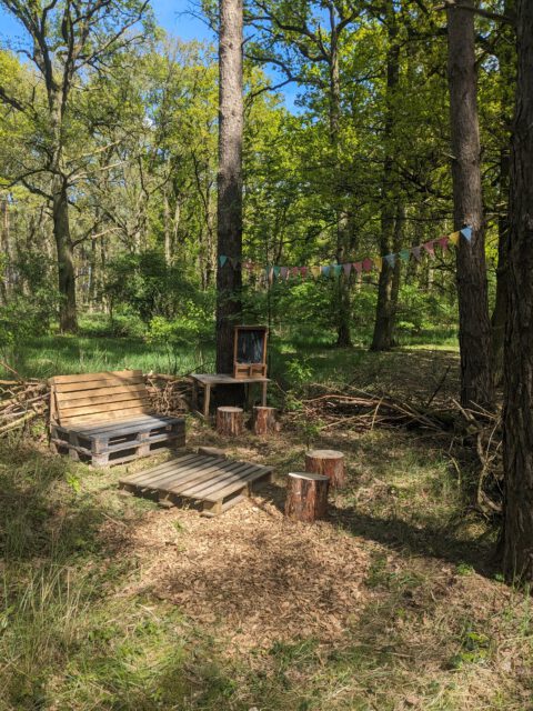 Chillarea im Wald